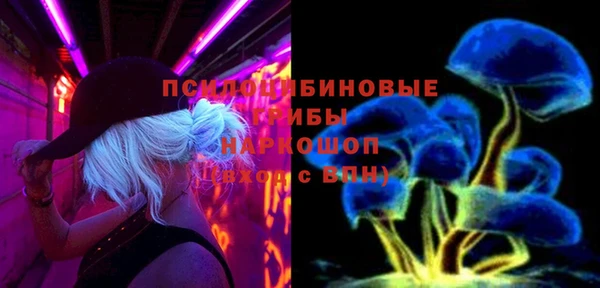 гашик Бронницы