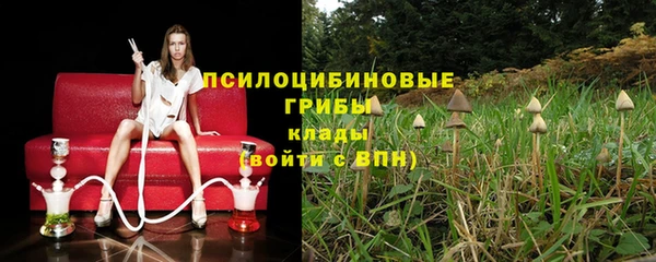 спиды Бугульма