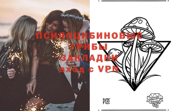 бошки Бородино