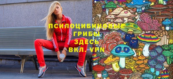 бошки Бородино