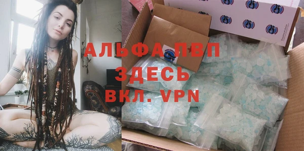 бошки Бородино
