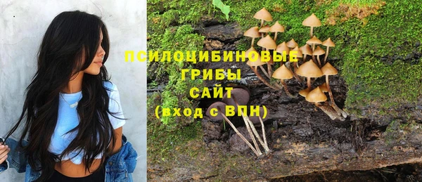 бошки Бородино