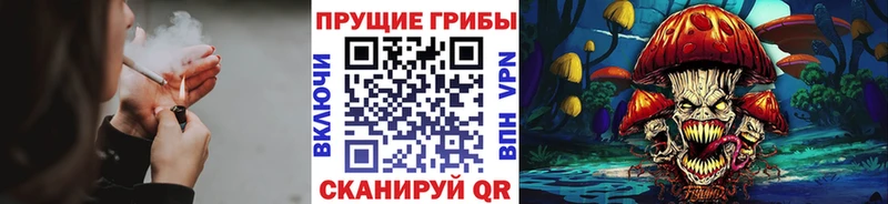 Купить закладки  Волжск  Галлюциногенные грибы мицелий 